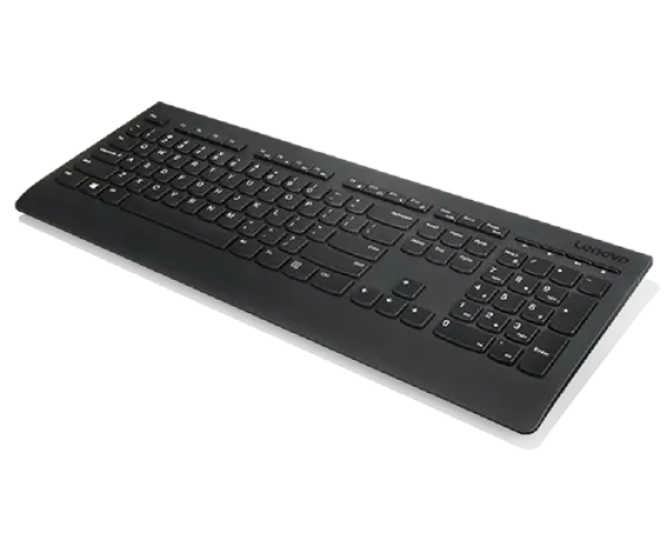 Lenovo Professional Wireless Keyboard - US English