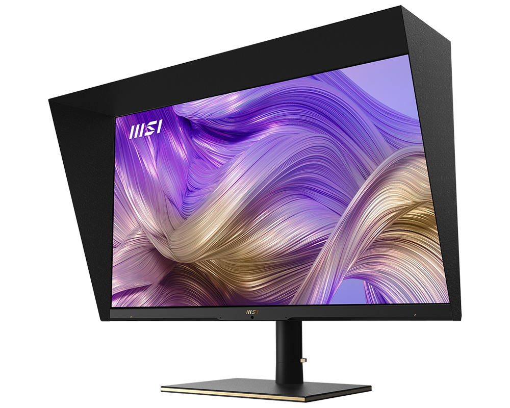 MON 32IN IPS PANEL SPACE BLK W/ GLD TRIM