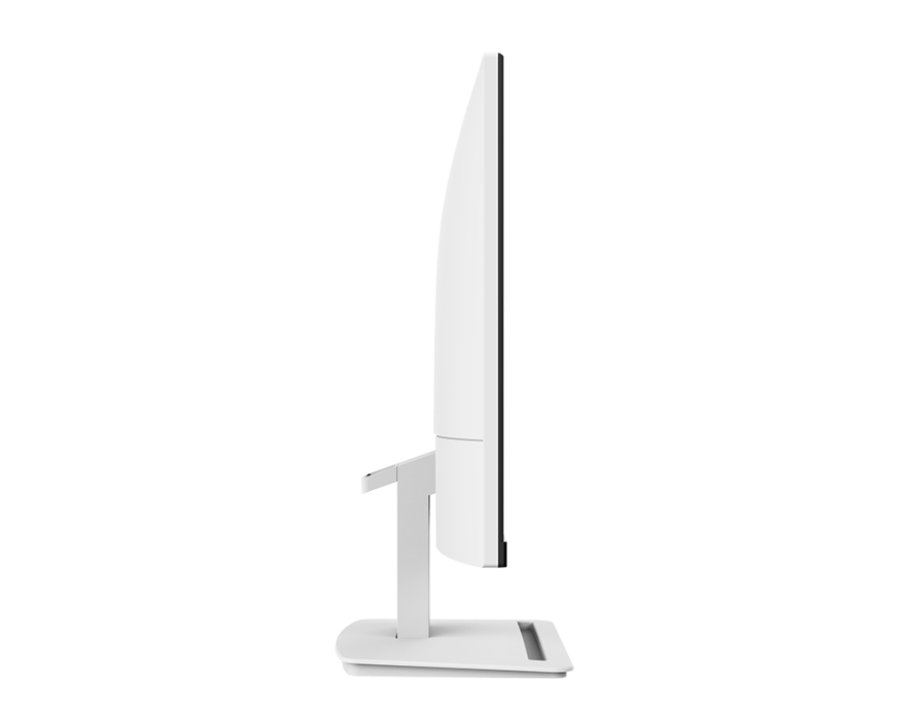 PRO MP253W - 24.5Inch