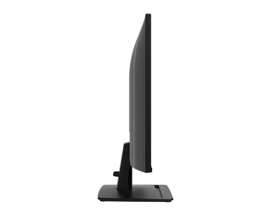 PRO MP252 - 24.5Inch