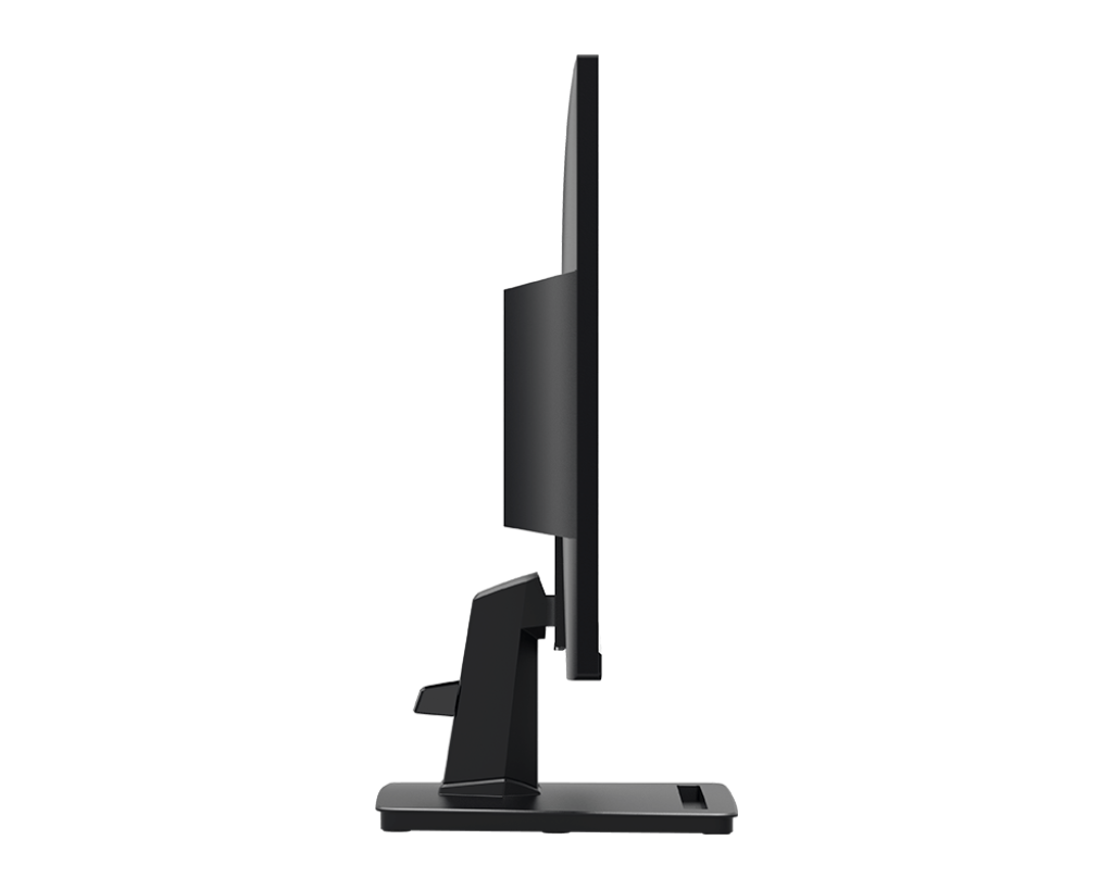 PRO MP253W - 24.5Inch