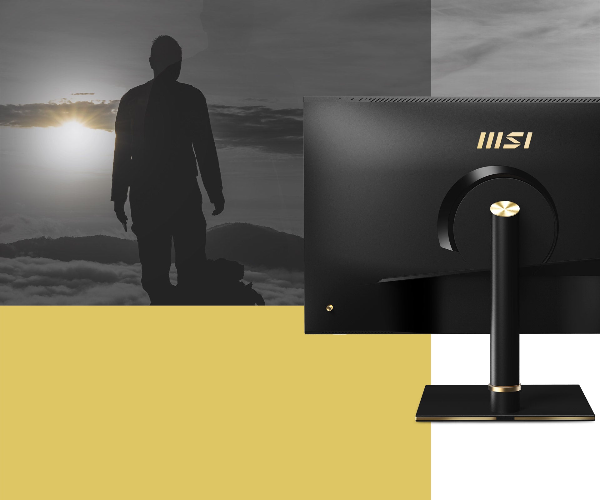 MON 32IN IPS PANEL SPACE BLK W/ GLD TRIM