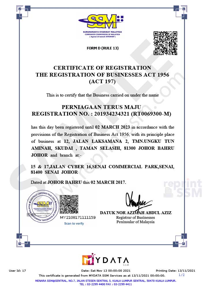 Professional Services SSM