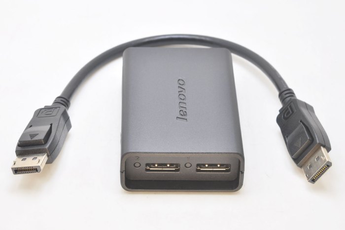 Lenovo DisplayPort to Dual DisplayPort Adapter