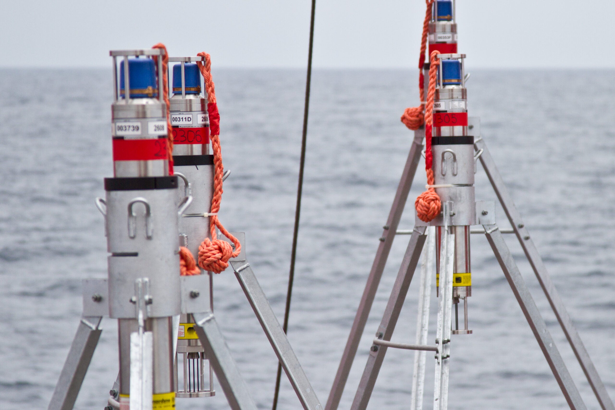 LANDESK Data Analytics with Asset Discovery MNT