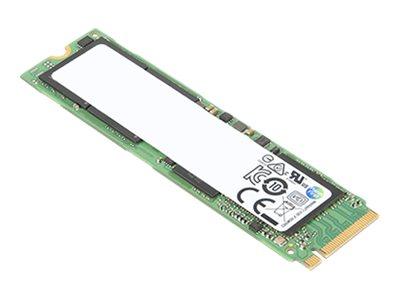ThinkPad 256GB PCIe - 2"
