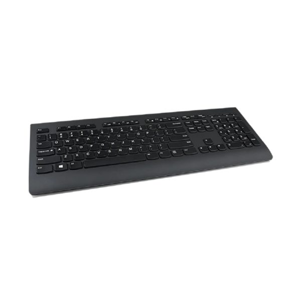 Lenovo Professional Wireless Combo Keyboard & Mouse (US English)