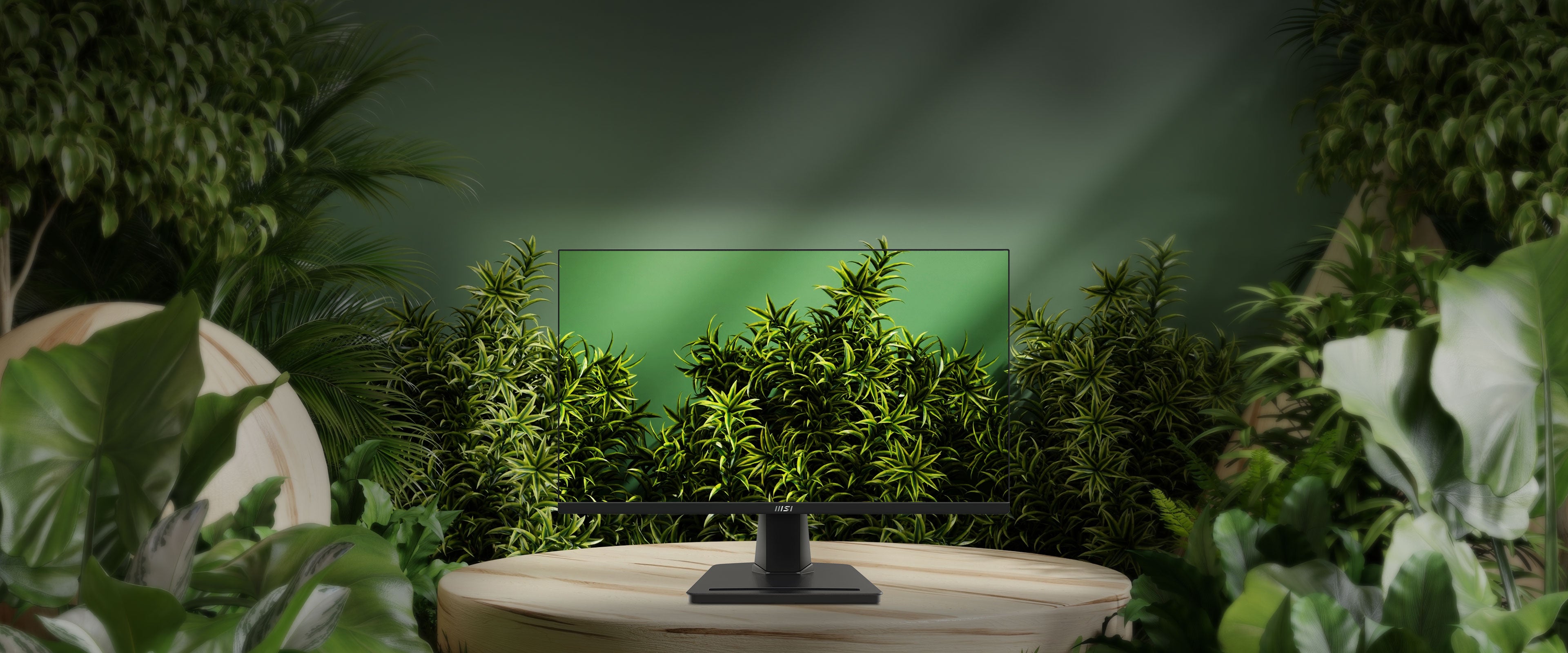 PRO MP253W - 24.5Inch