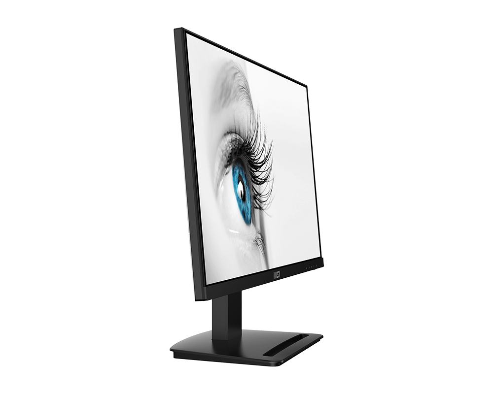 PRO MP253P - 24.5Inch