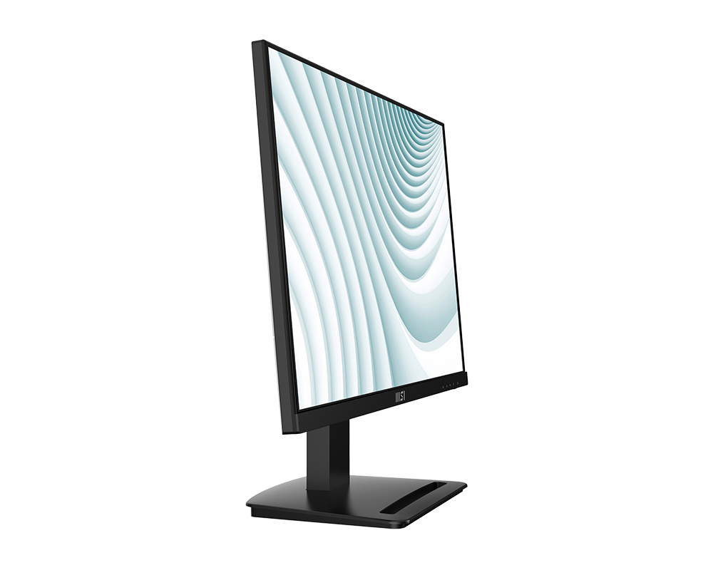 PRO MP253P - 24.5Inch