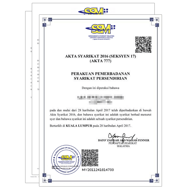 Professional Services SSM