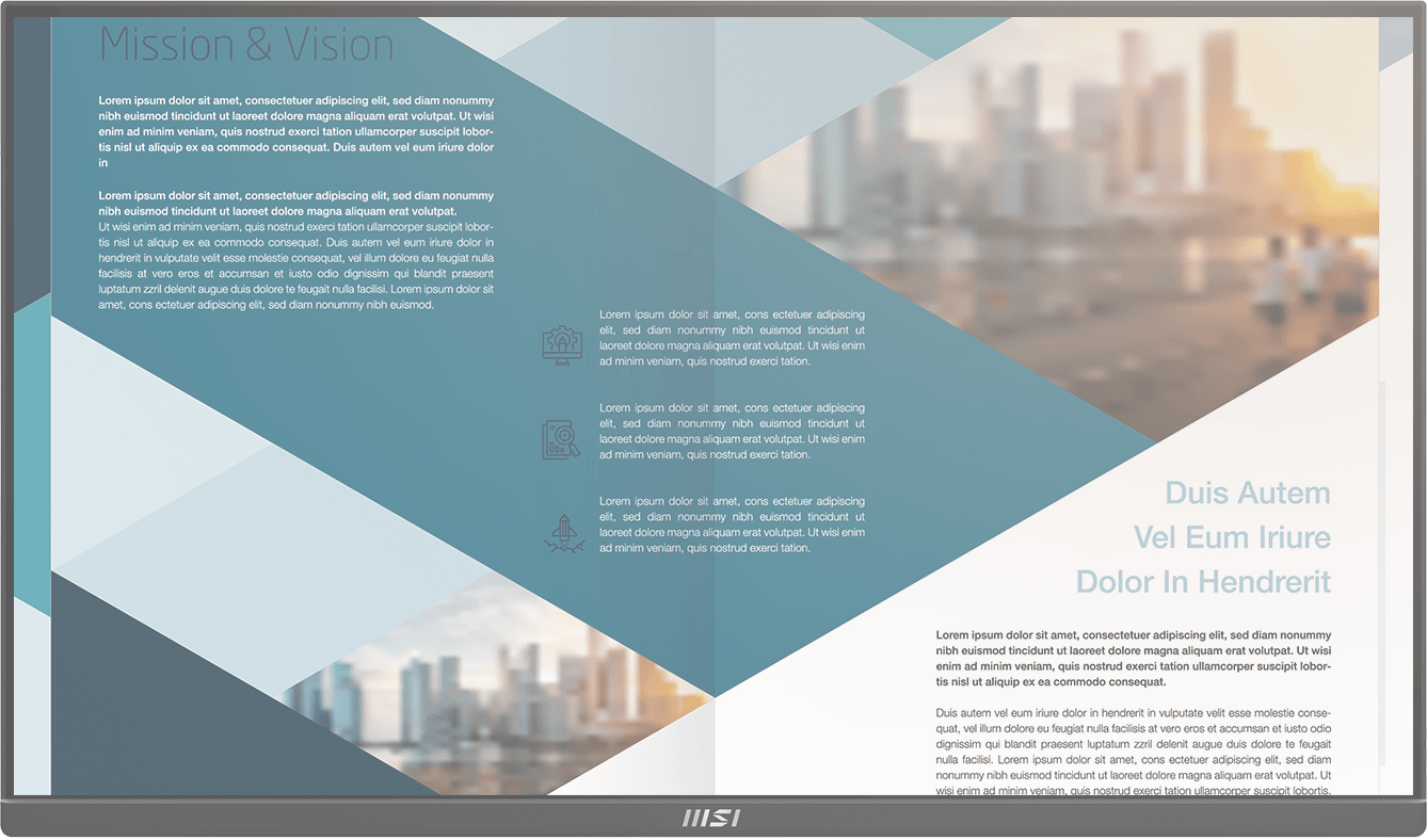 PRO MP252 - 24.5Inch