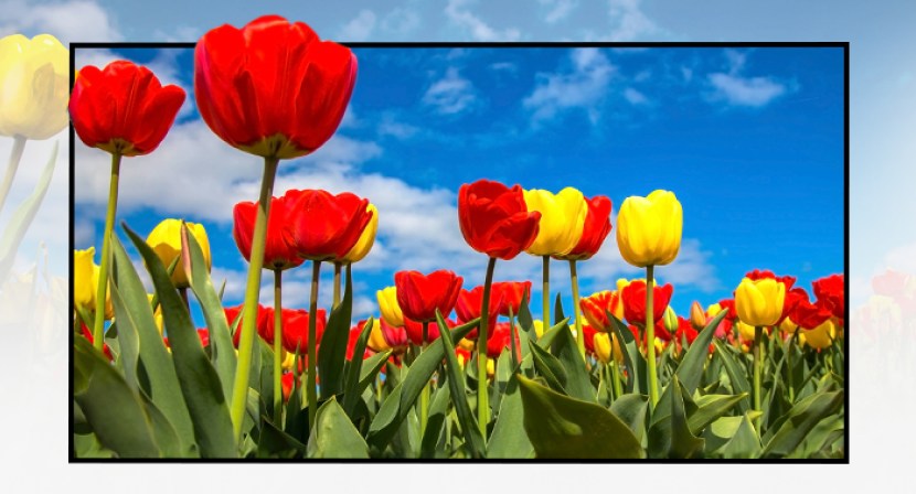 HP Series 7 Pro 23.8 inch FHD Monitor - 23.8Inch